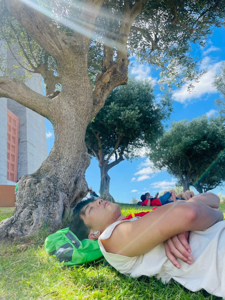 01c4b331-a335-4ea9-9485-442fd6c0b30c