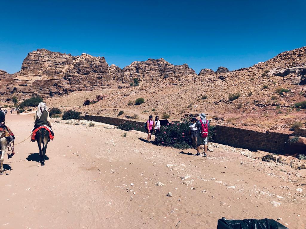 54c9903a-dfd9-46de-ba5c-8ca521f2ae00