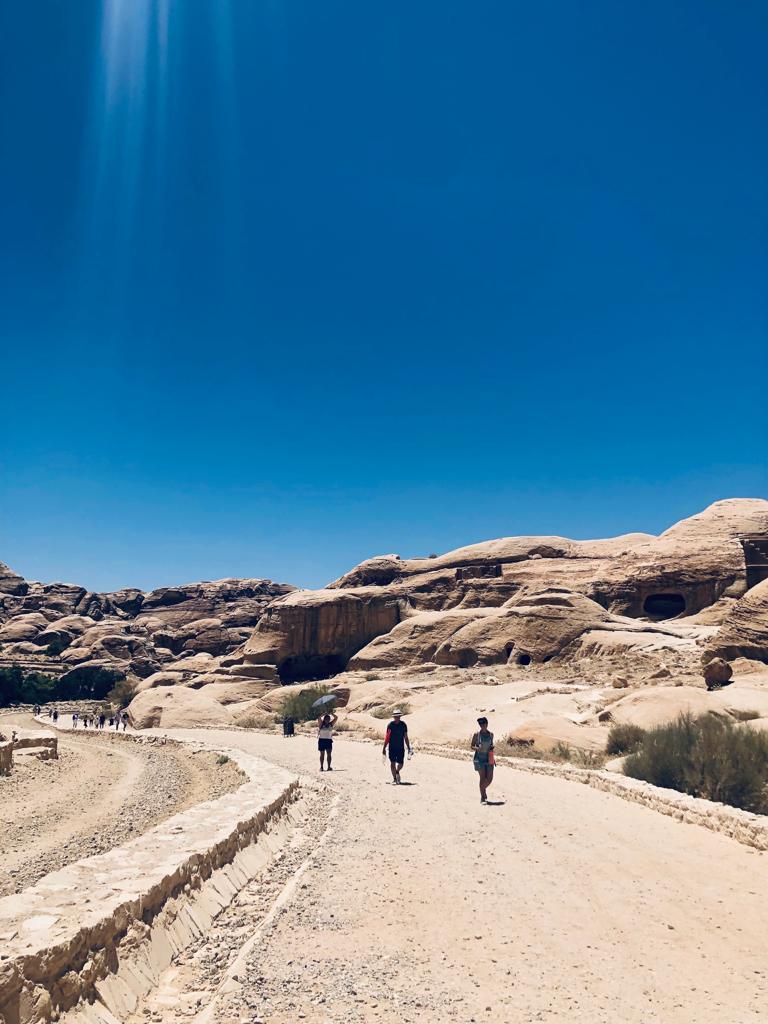 81992207-755f-405e-ac0b-098346f5f499