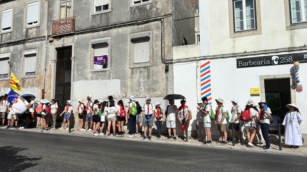 8e37b2d8-aa50-4d13-bfb2-c24e5db5d340