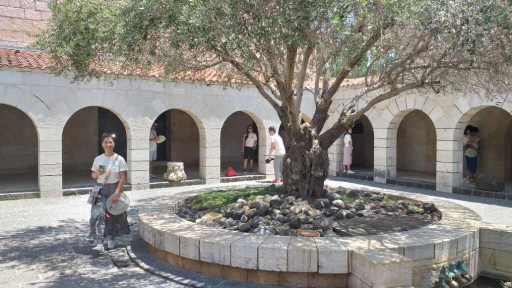 c0b7d7c6-75ad-48eb-8453-46791f8016bb