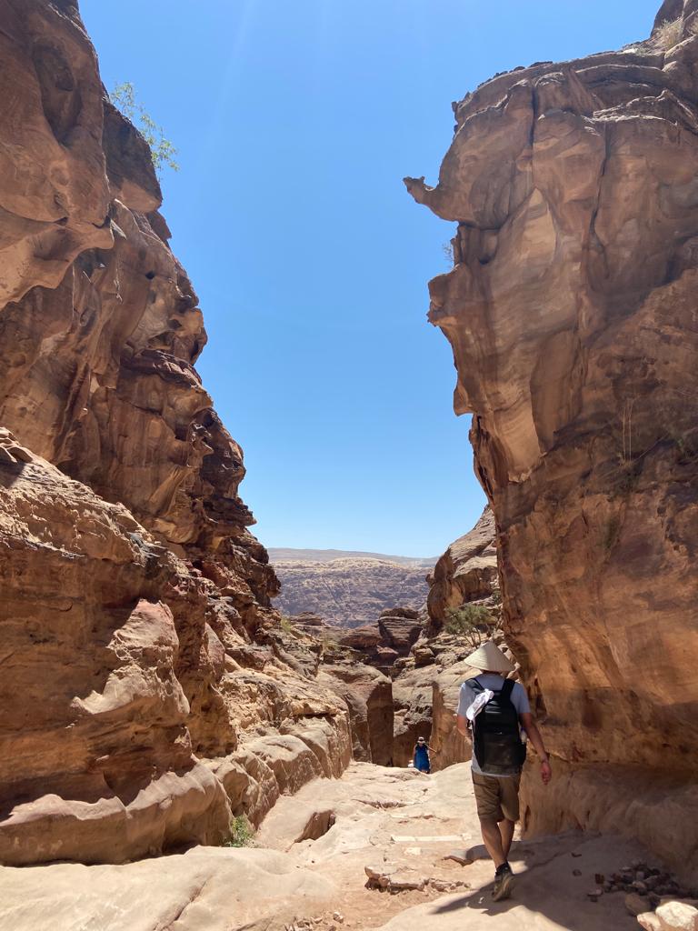 d9203471-8c7c-4154-b868-2cf511ae03ba