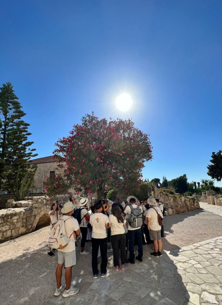 e0d7ac25-6700-4caf-87ef-035ca2801a39