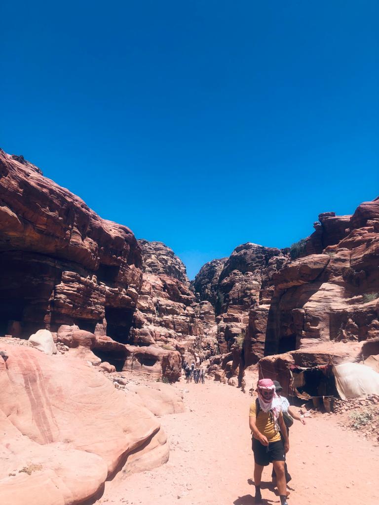 e5a0fe2c-6482-4dfa-84d7-93e6e35ea950