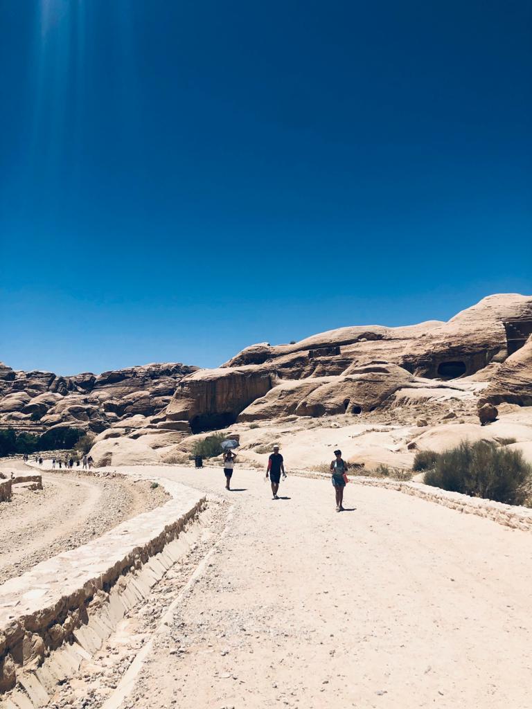 ed004d17-f5e5-45aa-b3dd-5bb5807b973d